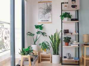 trends inrichting tuinkamer